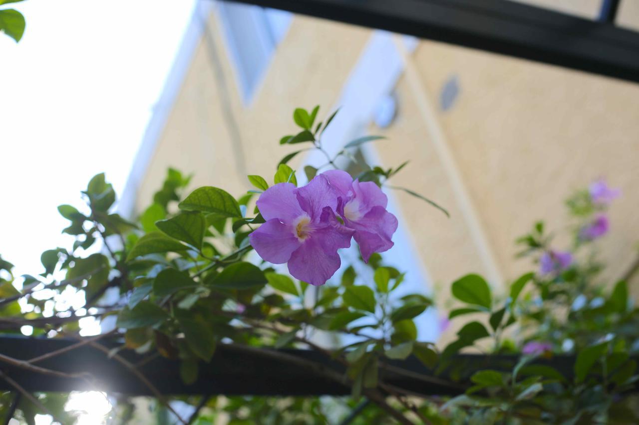 Prince Hotel بورت أو برنس المظهر الخارجي الصورة