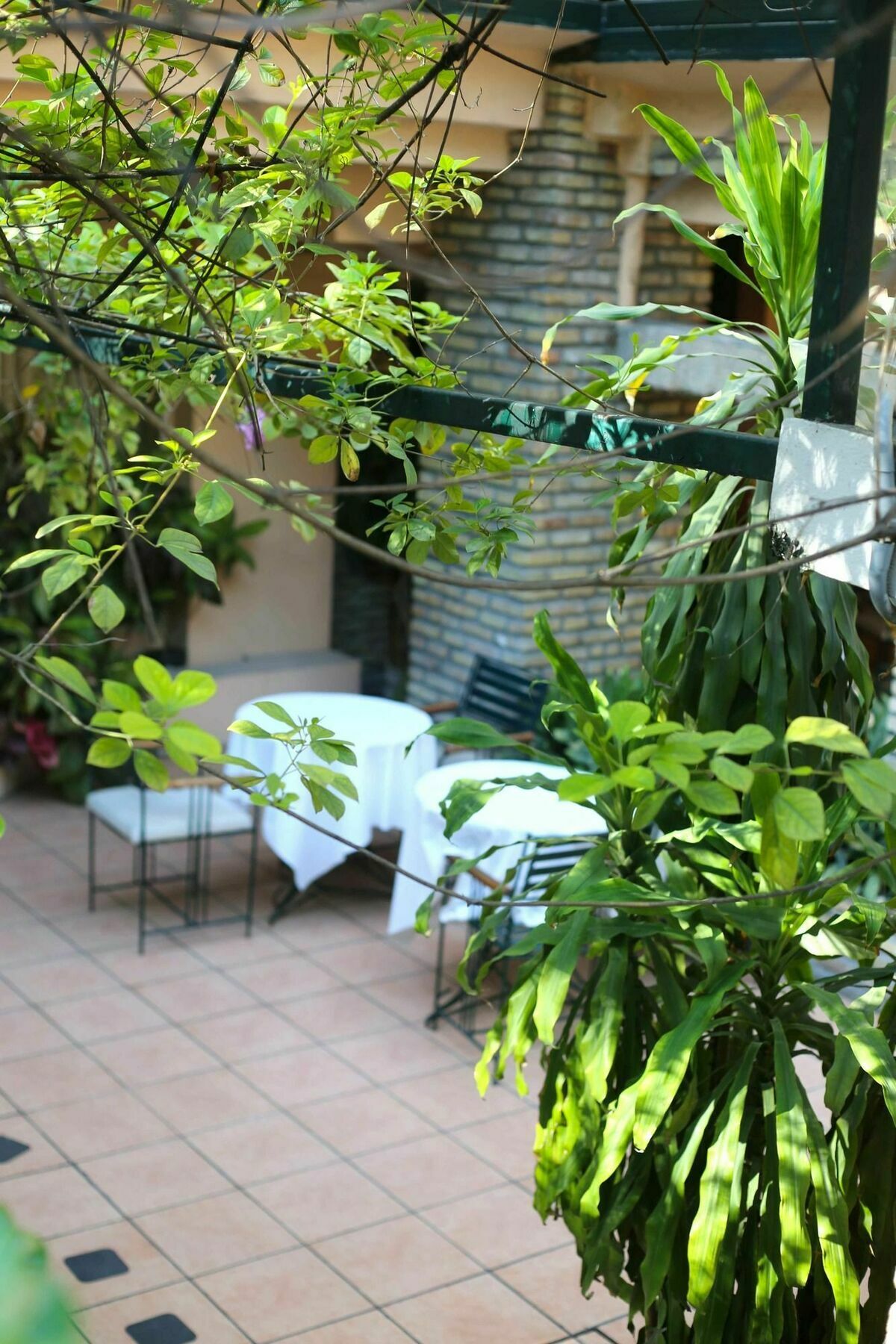 Prince Hotel بورت أو برنس المظهر الخارجي الصورة